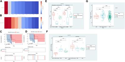 Racial disparities in metastatic colorectal cancer outcomes revealed by tumor microbiome and transcriptome analysis with bevacizumab treatment